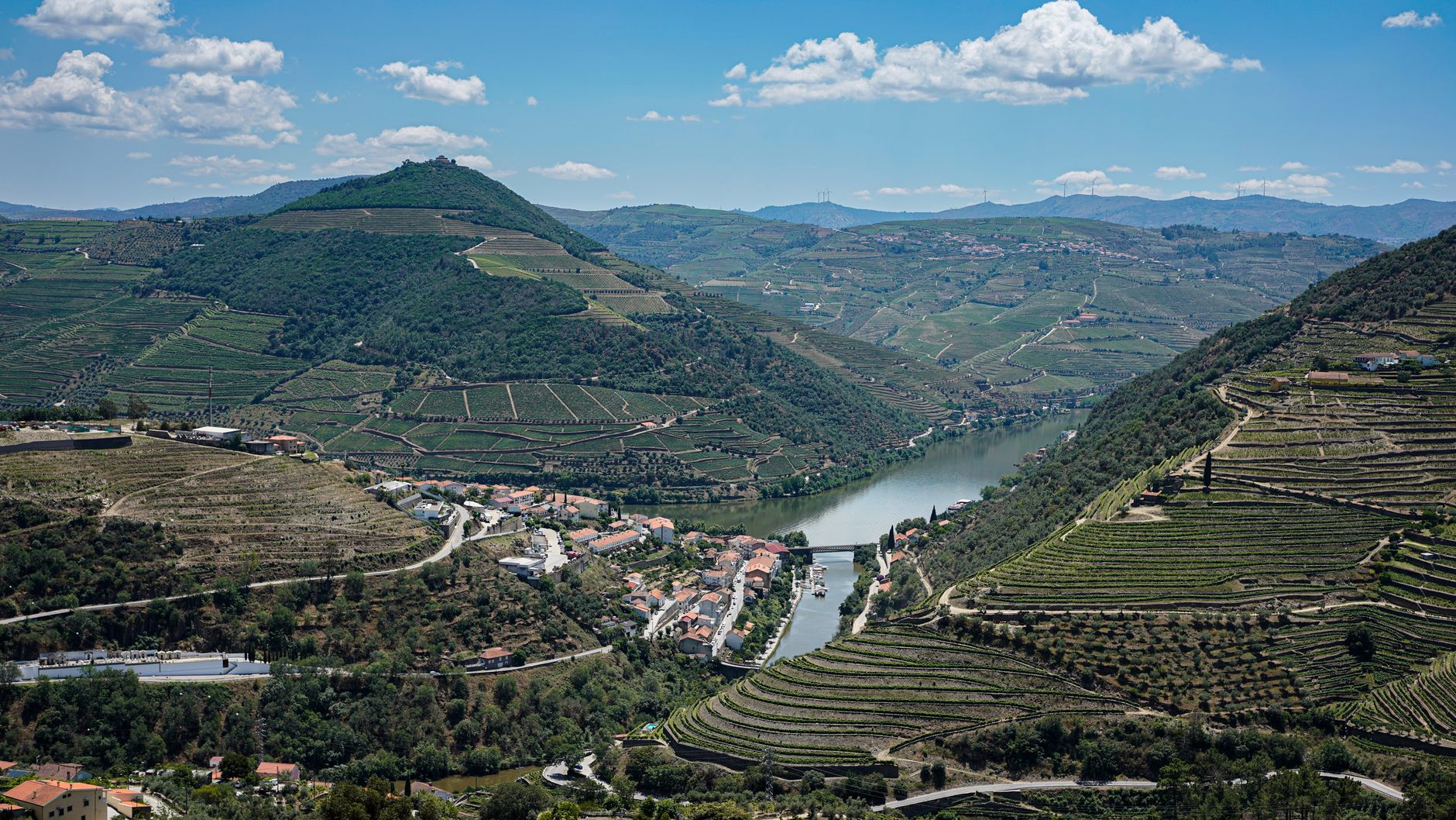 Terraced vineyards descending toward river Douro at sunset