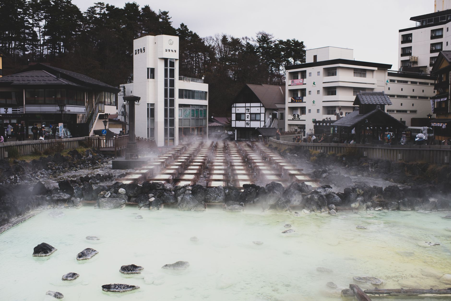 Secluded outdoor onsen surrounded by moss rocks and cedar trees in Japan